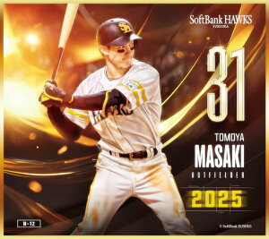 yN-12 ؒq (m[}miniF) z \tgoNz[NX`2025` g[fBO~jF