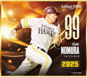 yN-16 쑺E (m[}miniF) z \tgoNz[NX`2025` g[fBO~jF