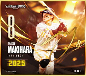 y[TC] SP-05 q听 (XyVminiF) z \tgoNz[NX`2025` g[fBO~jF