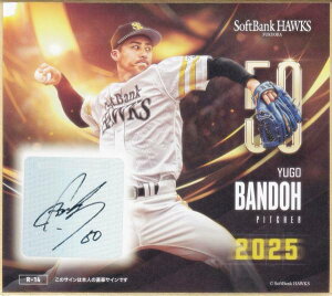 y[MTC 01/15] R-14 N (AminiF) z \tgoNz[NX`2025` g[fBO~jF