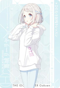 y郊[(Ђނc背bX)z J[h_X CarddassS{ wACh}X^[