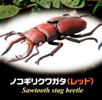 楽天市場】ビソンノコギリクワガタの通販