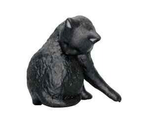 【黒猫】 猫の毛づくろい