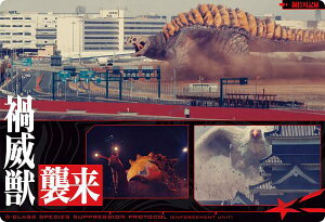 yNo.13 ЈЏbP (Gs\[hJ[h) z VEEg}J[hEGn[X