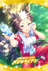 yW3-26 [ۓ܂N[_E] WCA (T|[gJ[hSR) z E} veB[_[r[ cCEGn[X 3R