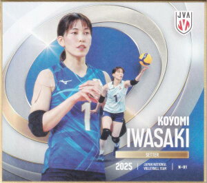 yN-01 肱 (m[}) z o[{[q{\2025 g[fBOminiF