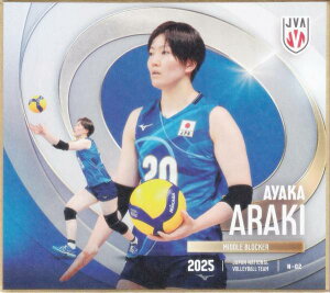 yN-02 r؍ʉ (m[}) z o[{[q{\2025 g[fBOminiF