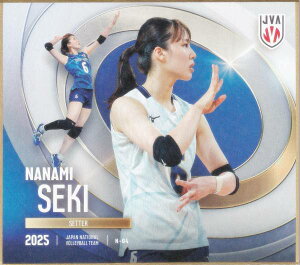 yN-04 ֍؁X (m[}) z o[{[q{\2025 g[fBOminiF