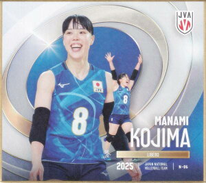 yN-06 ؔ (m[}) z o[{[q{\2025 g[fBOminiF