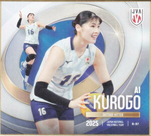 yN-07 ㈤ (m[}) z o[{[q{\2025 g[fBOminiF