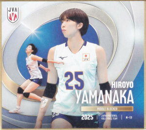 yN-13 RG\ (m[}) z o[{[q{\2025 g[fBOminiF