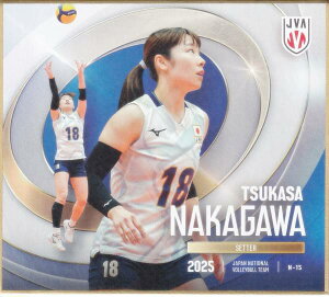 yN-15  (m[}) z o[{[q{\2025 g[fBOminiF