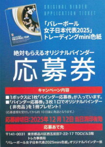 y匔F1̂݁zo[{[q{\2025 g[fBOminiF