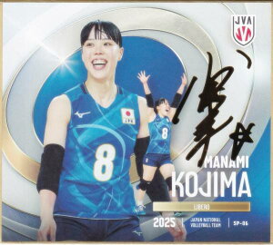 y[TC] SP-06 ؔ (XyV) z o[{[q{\2025 g[fBOminiF