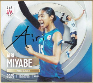 y[TC] SP-12 { (XyV) z o[{[q{\2025 g[fBOminiF