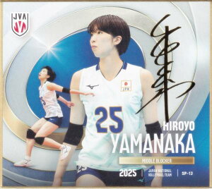 y[TC] SP-13 RG\ (XyV) z o[{[q{\2025 g[fBOminiF