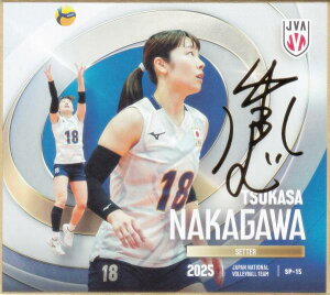 y[TC] SP-15  (XyV) z o[{[q{\2025 g[fBOminiF