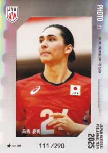 y[ʐ^J[hA 111/290] c (AJ[h) z o[{[jq{\2025 g[fBOJ[h