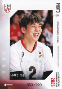 y[ʐ^J[hB 030/290]쎛 u (AJ[h) z o[{[jq{\2025 g[fBOJ[h