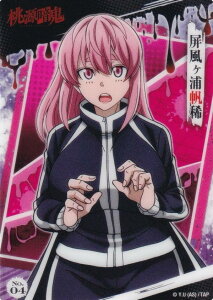 yNo.04 YHz ËS NAJ[hRNVK J[ĥ