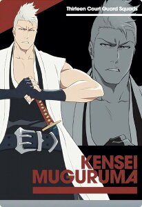 �yN17.�Z�Ԍ��� (�m�[�}���J�[�h) �z BLEACH �E�G�n�[�X