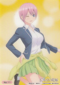 yNo.11  (~) z uV[h g[fBOJ[h RNVNA ܓ̉ԉ