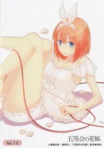 yNo.19 lt (1 GfBOECXg) z uV[h g[fBOJ[h RNVNA ܓ̉ԉ