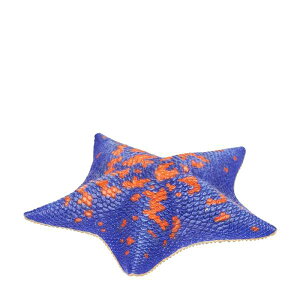 yCg}Lqgfz lC`[eNjJ[MONO PLUS ׂ݂̂ }Olbg&{[`F[2