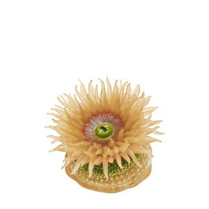 y~hC\M`Nz lC`[eNjJ[MONO PLUS ׂ݂̂ }Olbg&{[`F[2