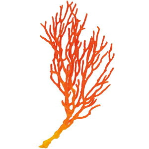 yC\oiz lC`[eNjJ[MONO PLUS ׂ݂̂ }Olbg&{[`F[2