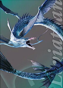 y1-039 @CAT/CN (m[}J[h) z t@Cit@^W[ 7 Ajo[T[A[g~[WA fW^J[hvX