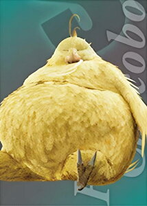 y1-043 fu`R{/CN (m[}J[h) z t@Cit@^W[ 7 Ajo[T[A[g~[WA fW^J[hvX