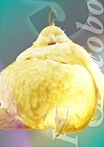 y1-043 fu`R{/CN (v~AJ[h) z t@Cit@^W[ 7 Ajo[T[A[g~[WA fW^J[hvX