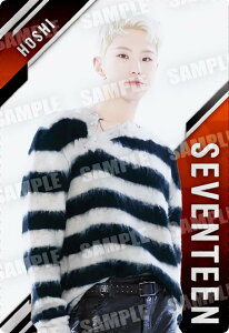 y[F] R-18 zV (A) z SVTcCEGn[X From PLEDIS ENTERTAINMENT SEVENTEEN
