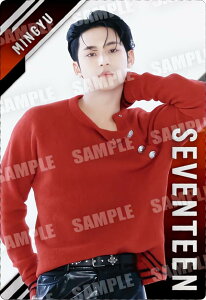 y[F] R-22 ~M (A) z SVTcCEGn[X From PLEDIS ENTERTAINMENT SEVENTEEN