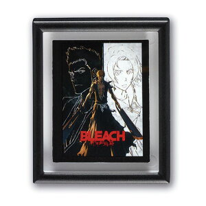 �y���C���i�b�vD�zBLEACH ��N����� �t���[���}�O�l�b�g