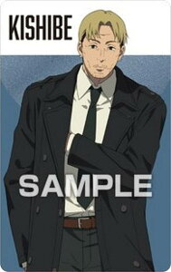 yNo.19 ݕӁz`F\[} ^bNJ[hRNVK J[ĥ