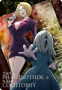 y13.pNm_Rgs (N m[})zC^WK HUNTER×HUNTER