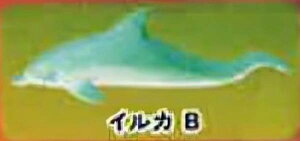 yCJBzCmW ~jtBMARNV `tropical version`