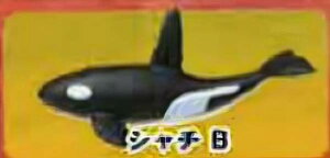 yV`BzCmW ~jtBMARNV `tropical version`