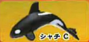 yV`CzCmW ~jtBMARNV `tropical version`