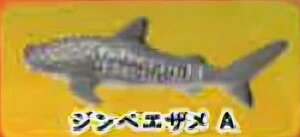 yWxGUAzCmW ~jtBMARNV `tropical version`