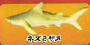 ylY~UzCmW ~jtBMARNV `tropical version`