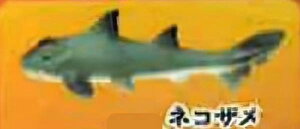 ylRUzCmW ~jtBMARNV `tropical version`