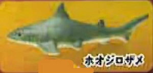 yzIWUzCmW ~jtBMARNV `tropical version`