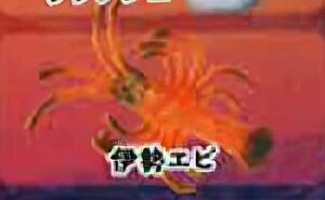 yɐGrzCmW ~jtBMARNV `tropical version`