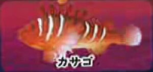 yJTSzCmW ~jtBMARNV `tropical version`