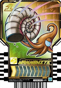 yCD3-013 iiCg (EgA) zʃC_[Kb`[h ChP~[gJEGn[X03