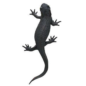 yAJnC(}Olbg)zlC`[eNjJ[MONO PLUS CƃIITVEEI {[`F[&}Olbg