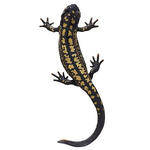 yVPC(}Olbg)zlC`[eNjJ[MONO PLUS CƃIITVEEI {[`F[&}Olbg